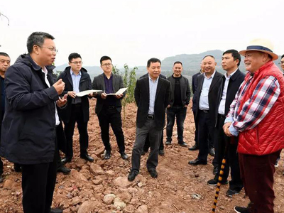 花椒基地順利接受縣委書記帶領縣四大班子的檢閱