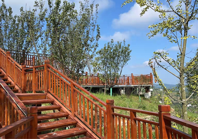 細(xì)數(shù)秋天的落葉，感生命的絢爛