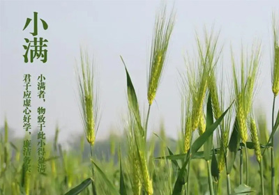 “花看半開，酒飲微醺”，人生最好是小滿