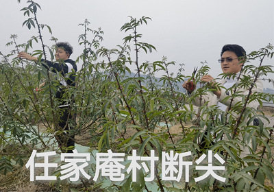 春意萌動，基地?zé)o閑時