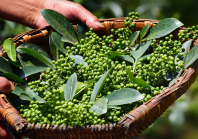 【中醫(yī)的小妙方】花椒鹽熱敷，緩解滑膜炎